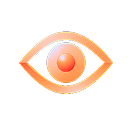 Our Vision